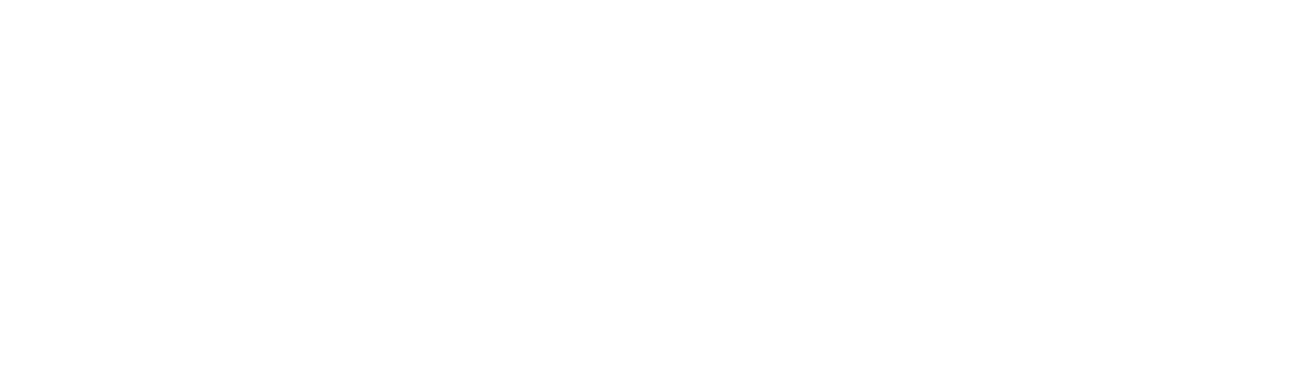 NanoEnTek